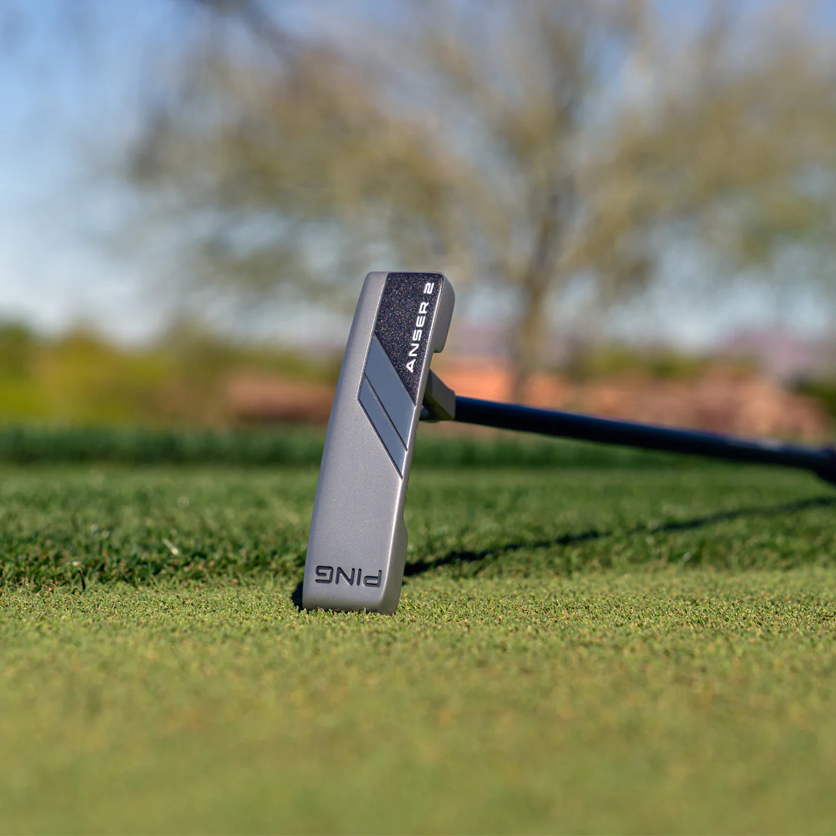 Ping Anser 2 - Image 4
