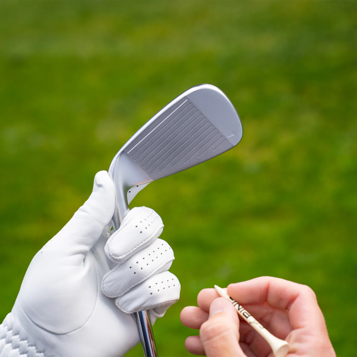 Ping G740 5 stk. - Grafit - Image 6