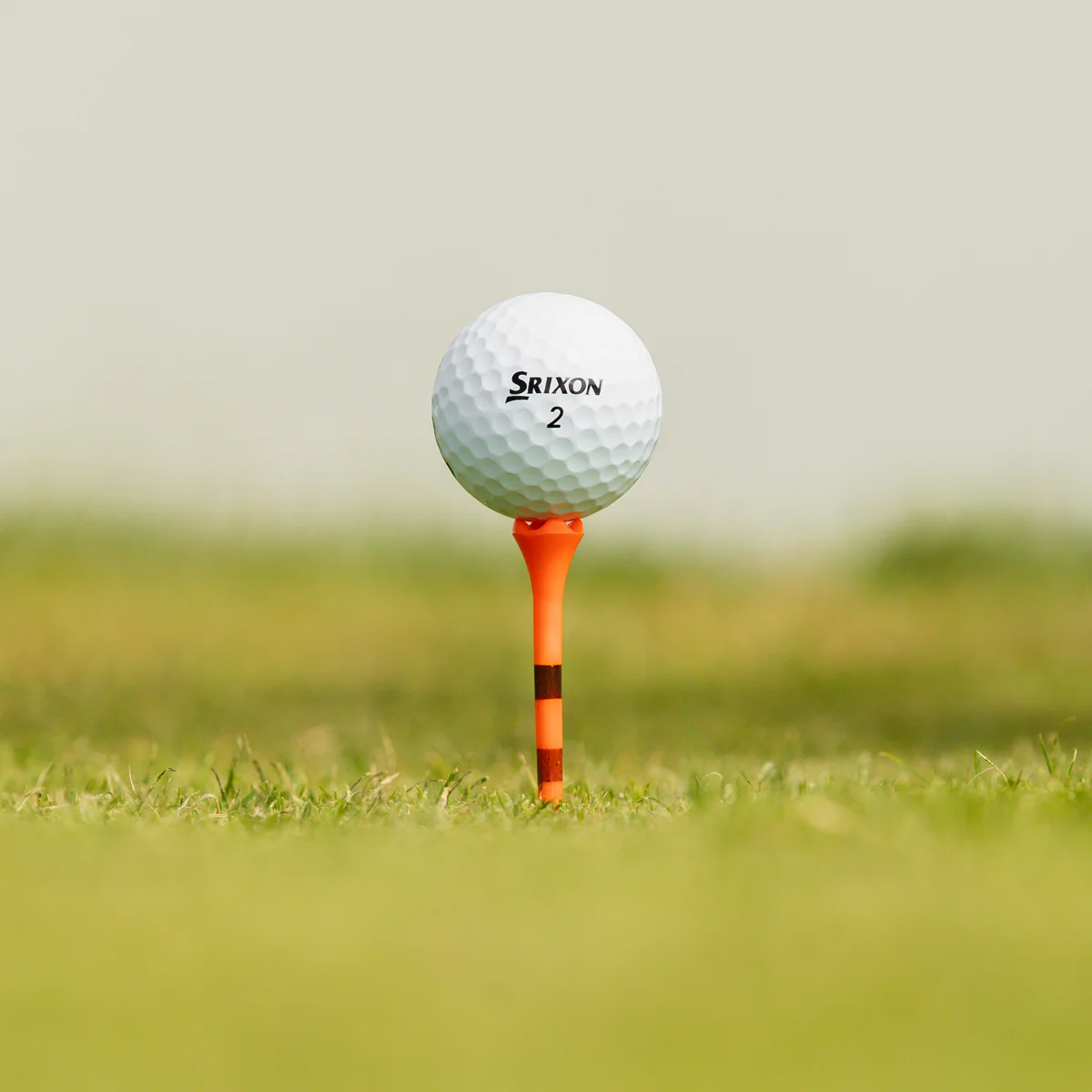 Srixon Q-Star Tour - Hvid - Image 6
